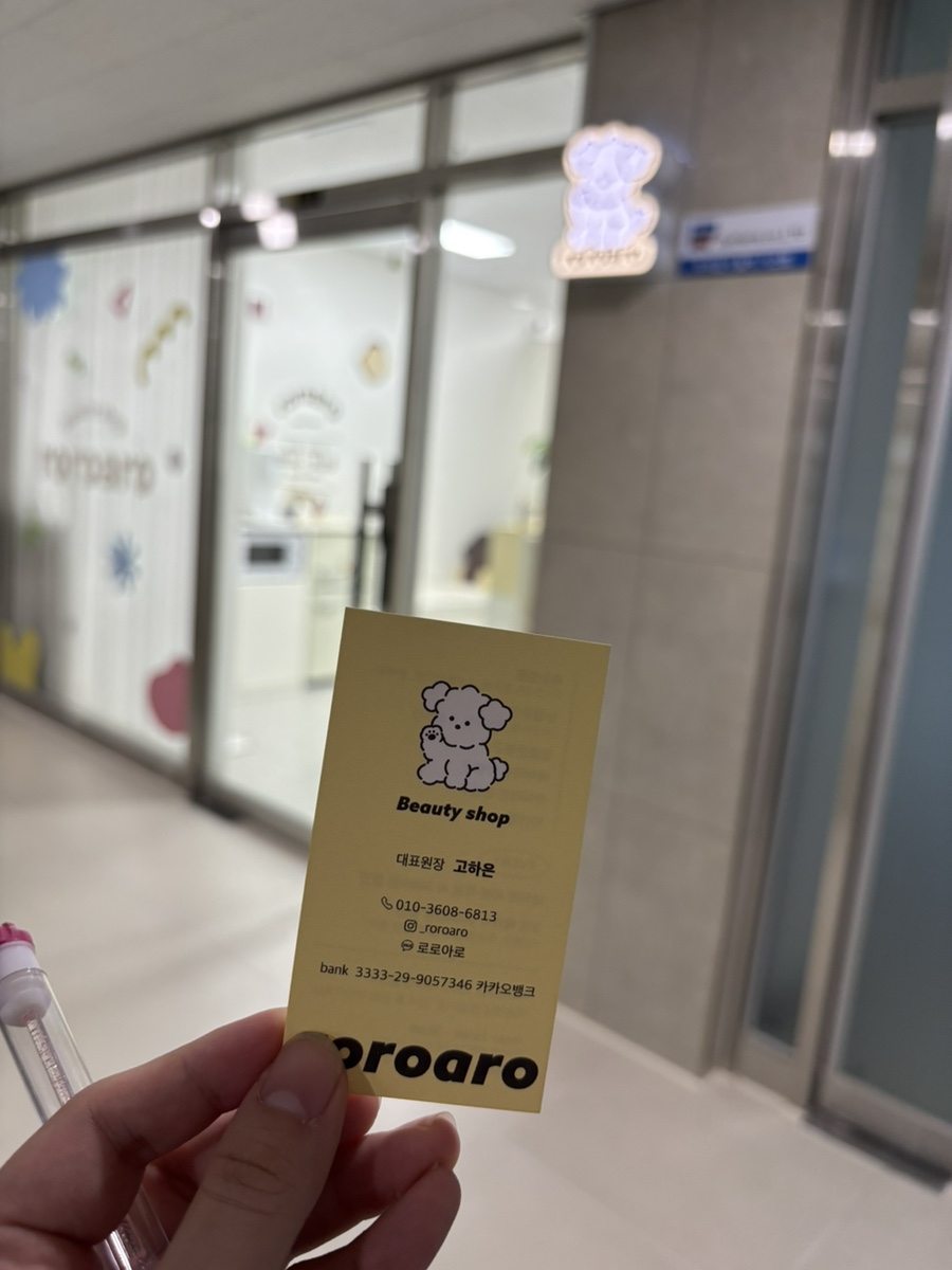 로로아로 이미지