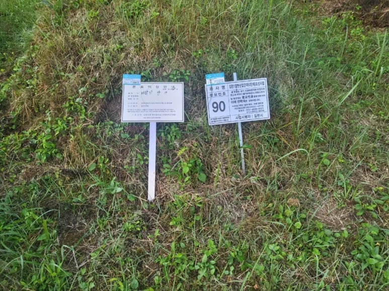 고인돌상조 이미지