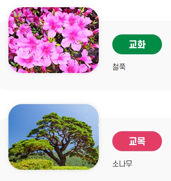 광주교육대학교 목포부설초등학교 이미지