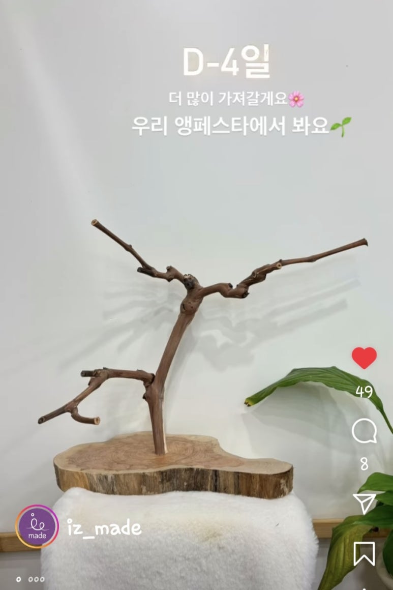 앵페스타 이미지