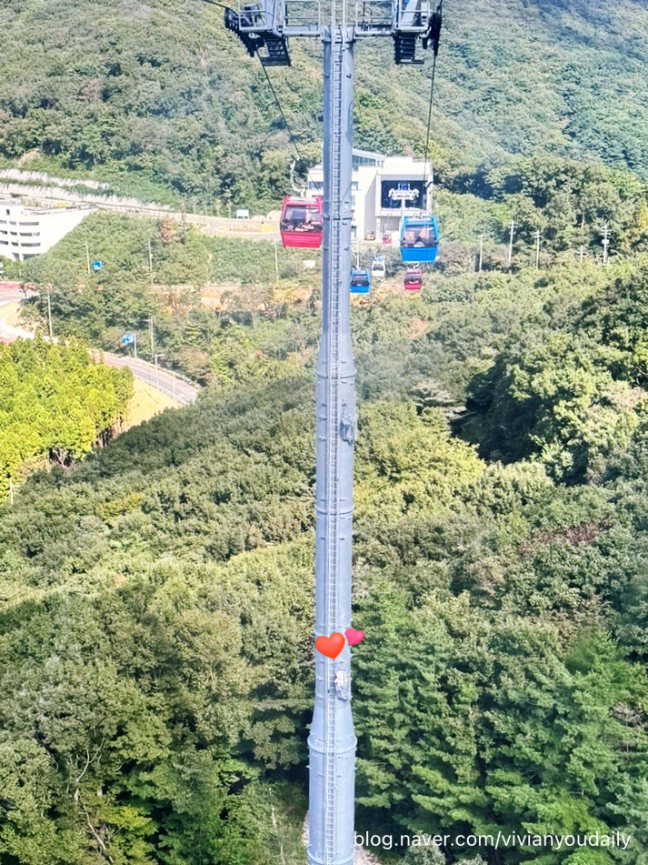 파노라마치킨 이미지