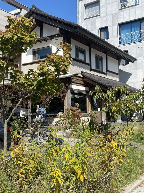 양유정칼국수 이미지