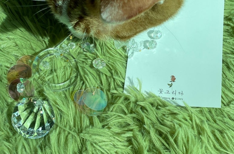 꽃그리다 이미지
