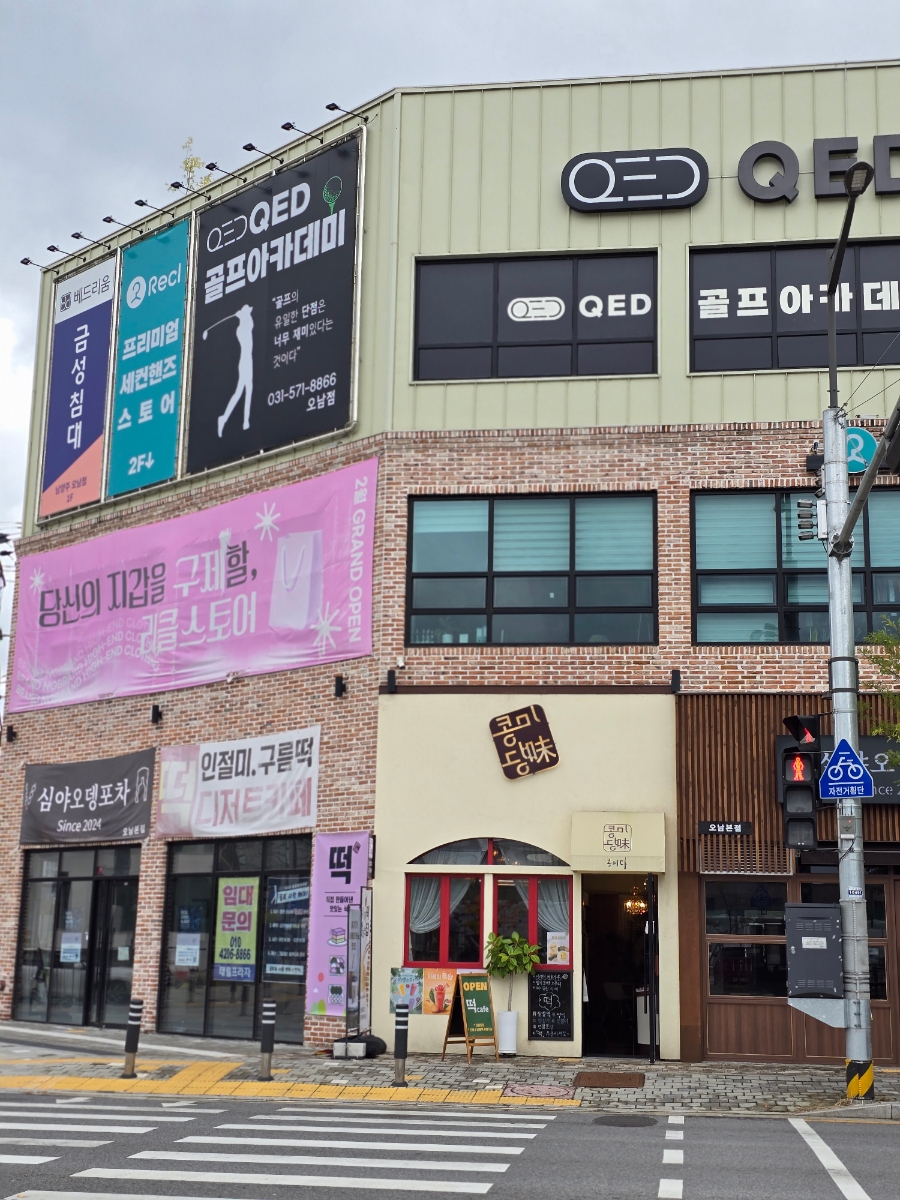 콩미당 이미지