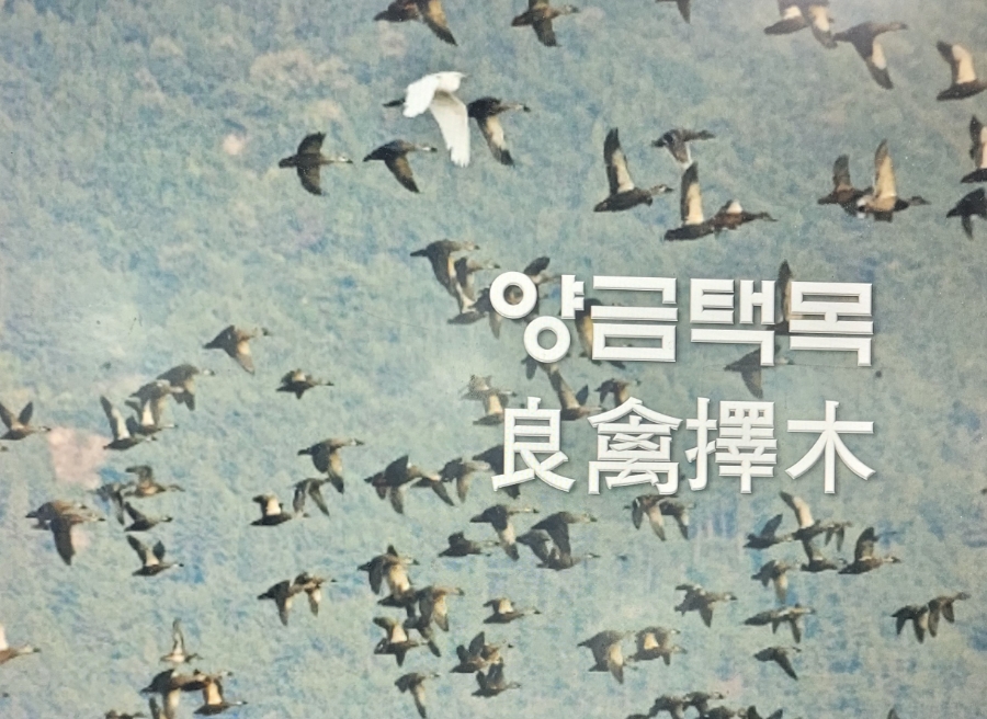 연화중학교 이미지