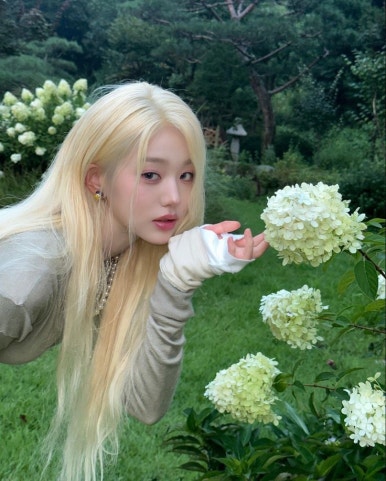 프로디헤어 이미지
