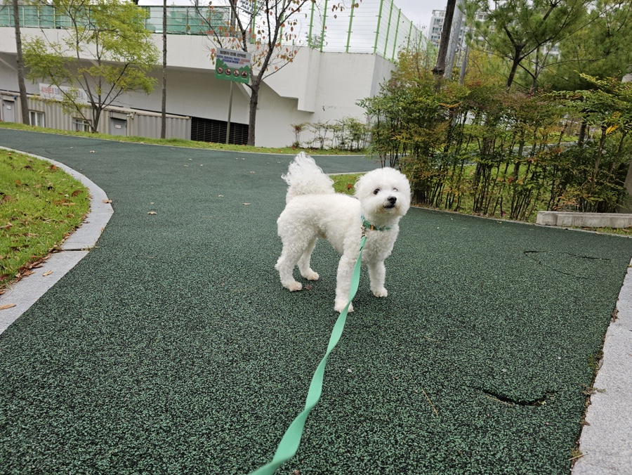 효자동솥뚜껑광주호남대점 이미지