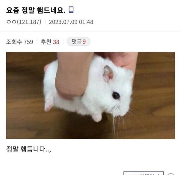 뻐끔뻐끔 이미지
