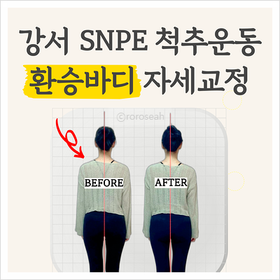 환승바디 이미지