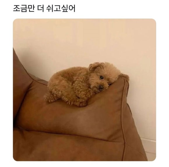 육돈숯불구이 이미지
