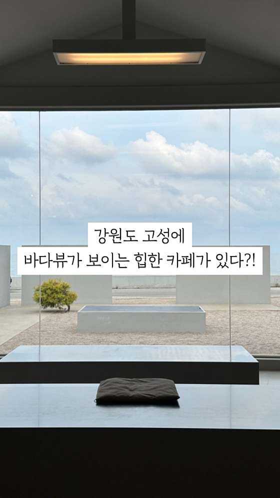 태시트 이미지