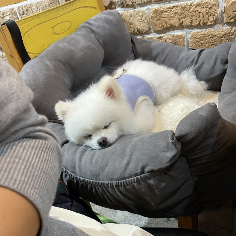 오씨오씨 이미지