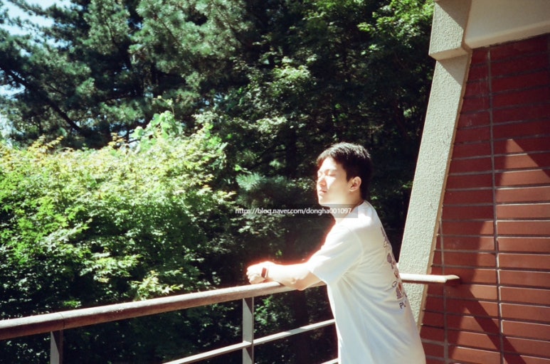 샷필름 이미지