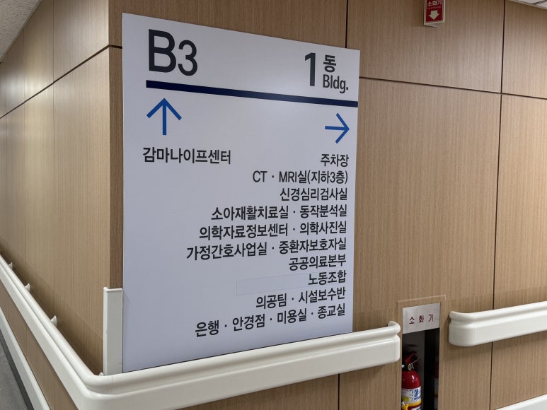 셀레브헤어 이미지