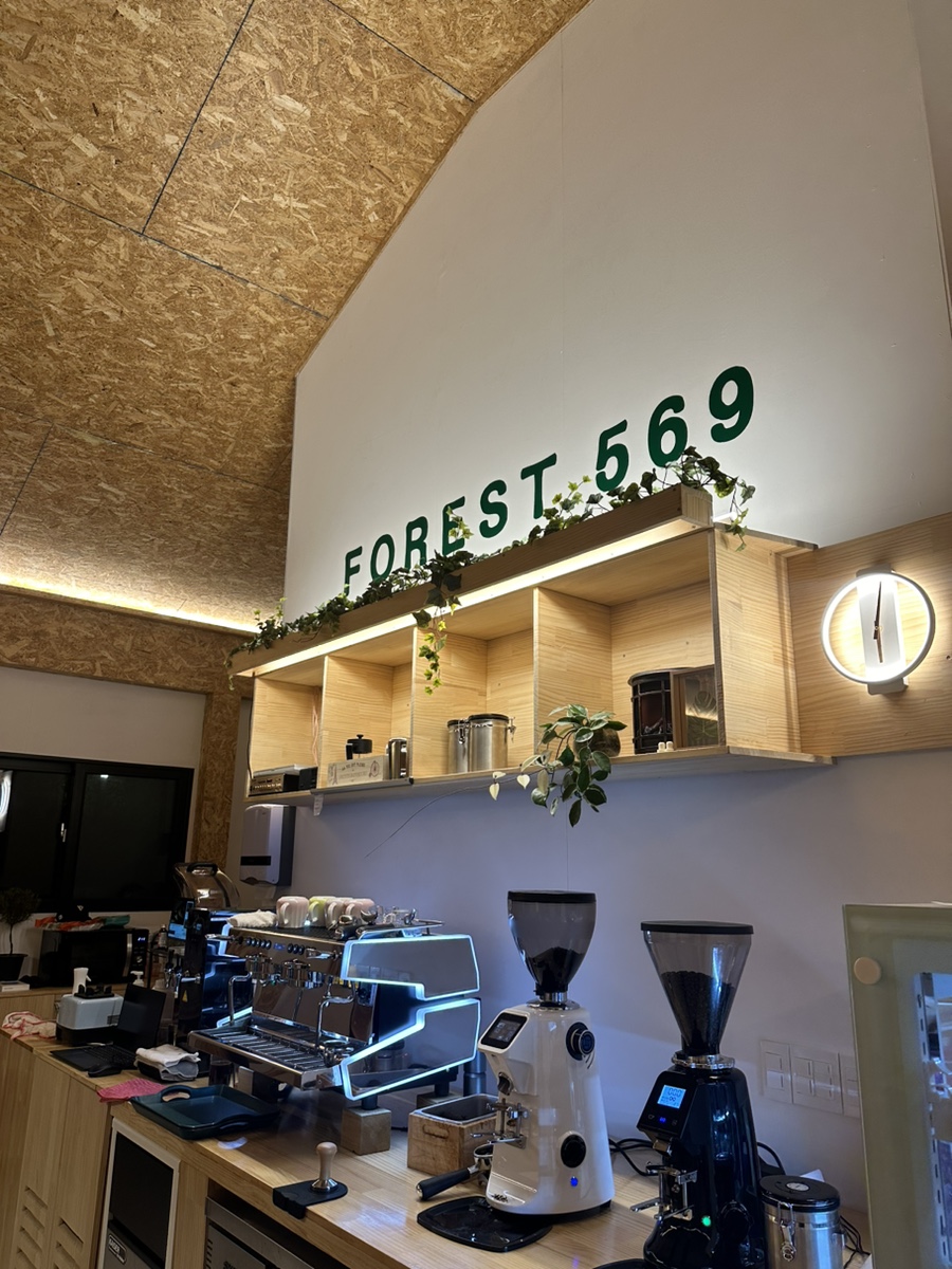 Forest(포레스트)569 이미지