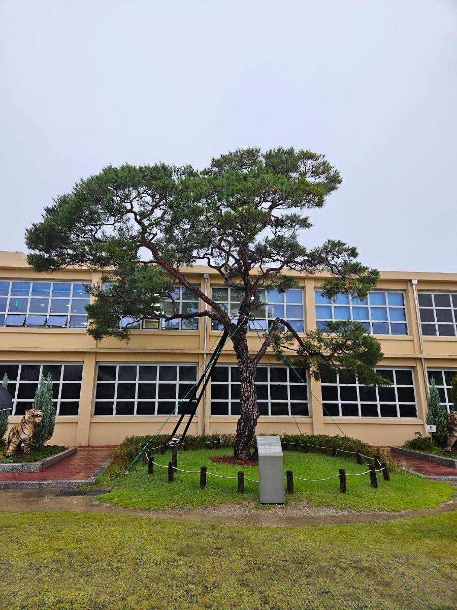 효성기업주 이미지