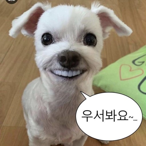 넌트스튜디오 이미지