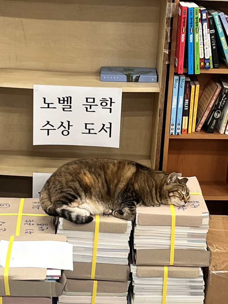 공손서점 이미지
