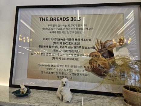 36.5도인테리어 이미지