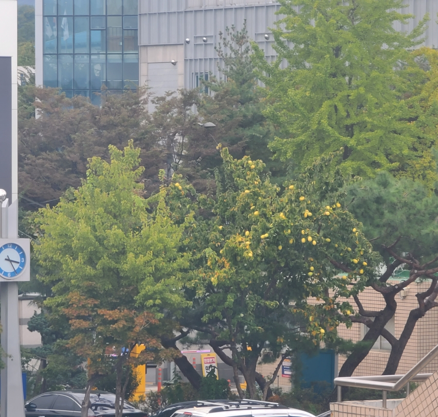 예:쁘다 이미지