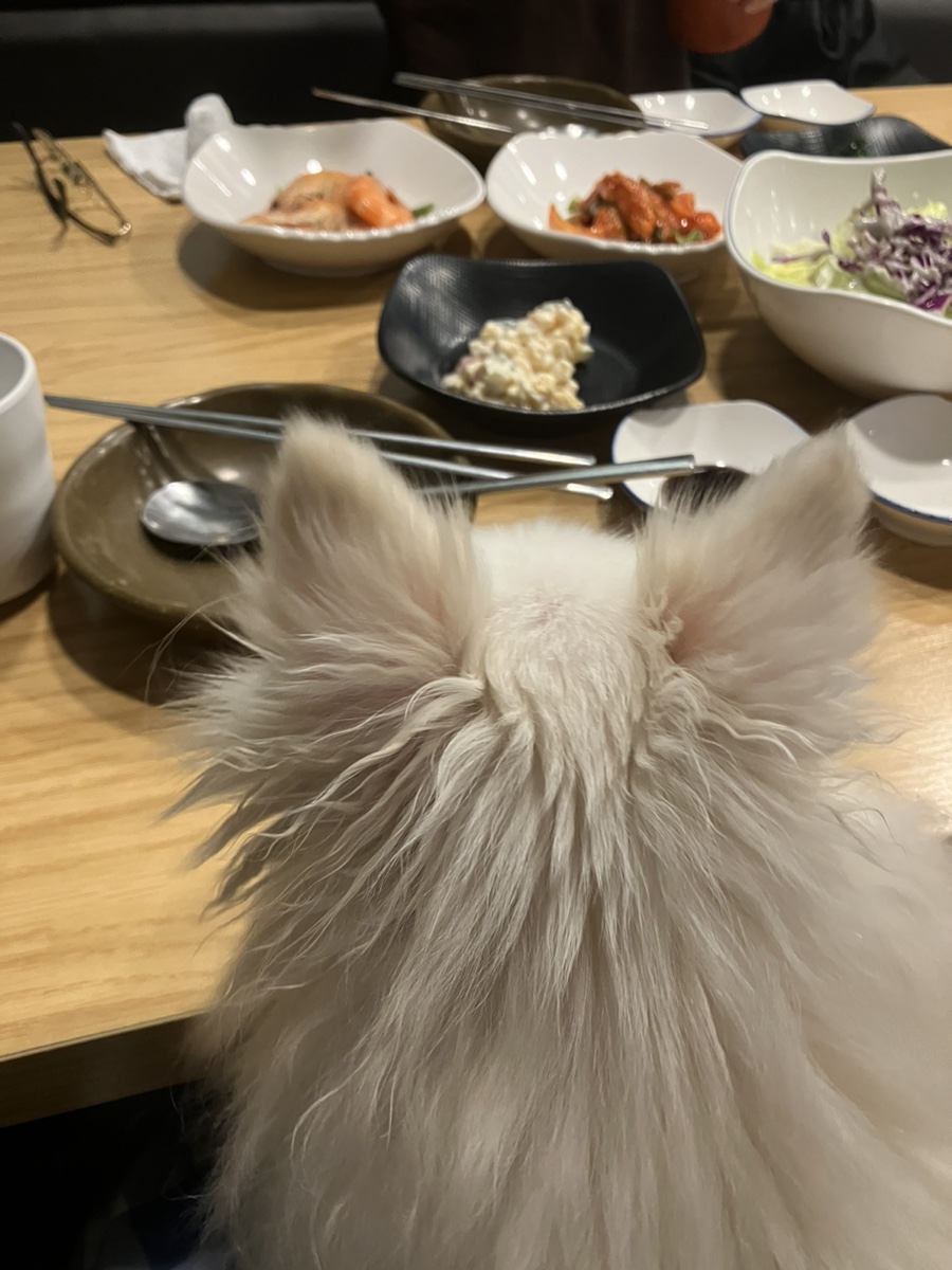 논현양꼬치 이미지