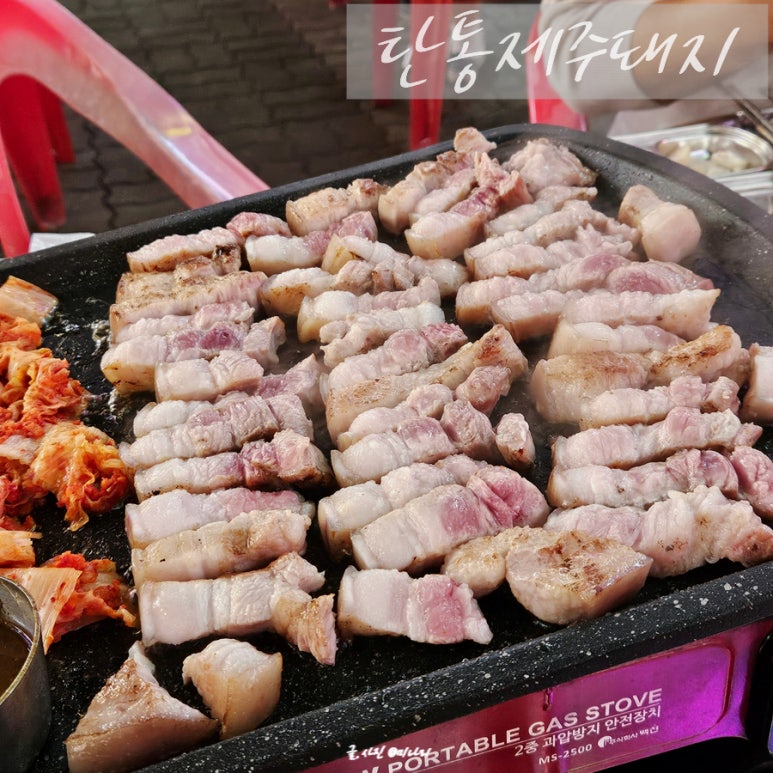 탄통제주돼지 이미지