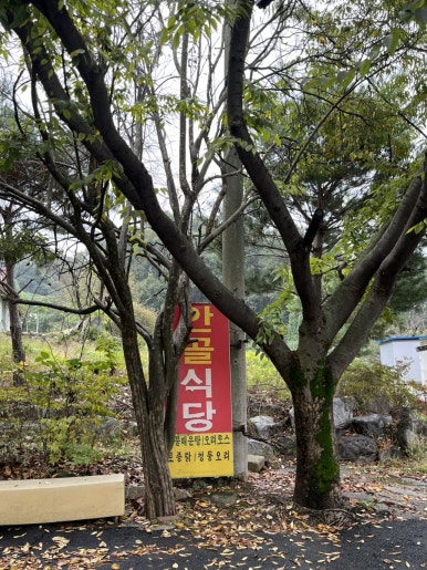 안골토종닭 이미지