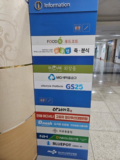고피자양산부산대 이미지