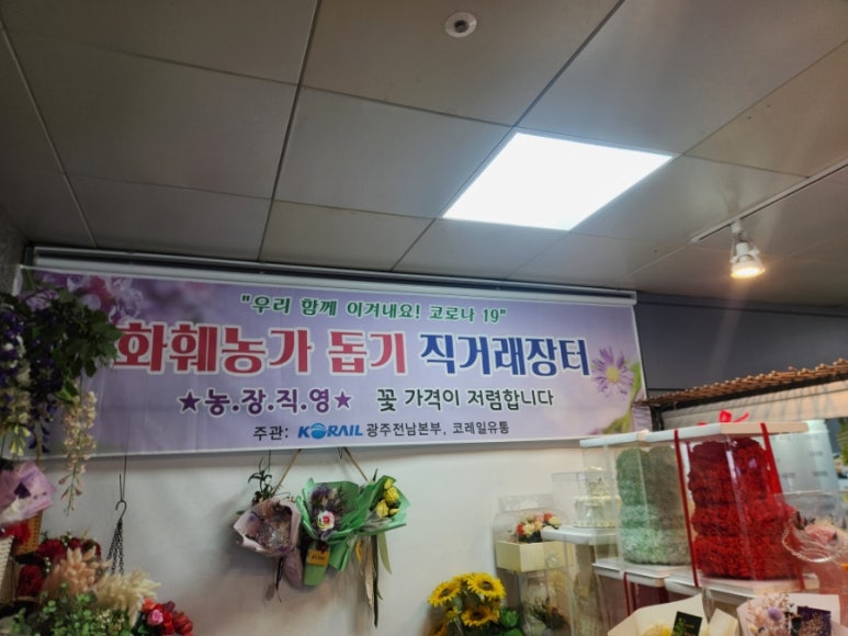 시나플라워 이미지