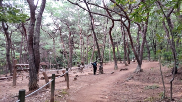 연암공원 유아숲체험원 이미지