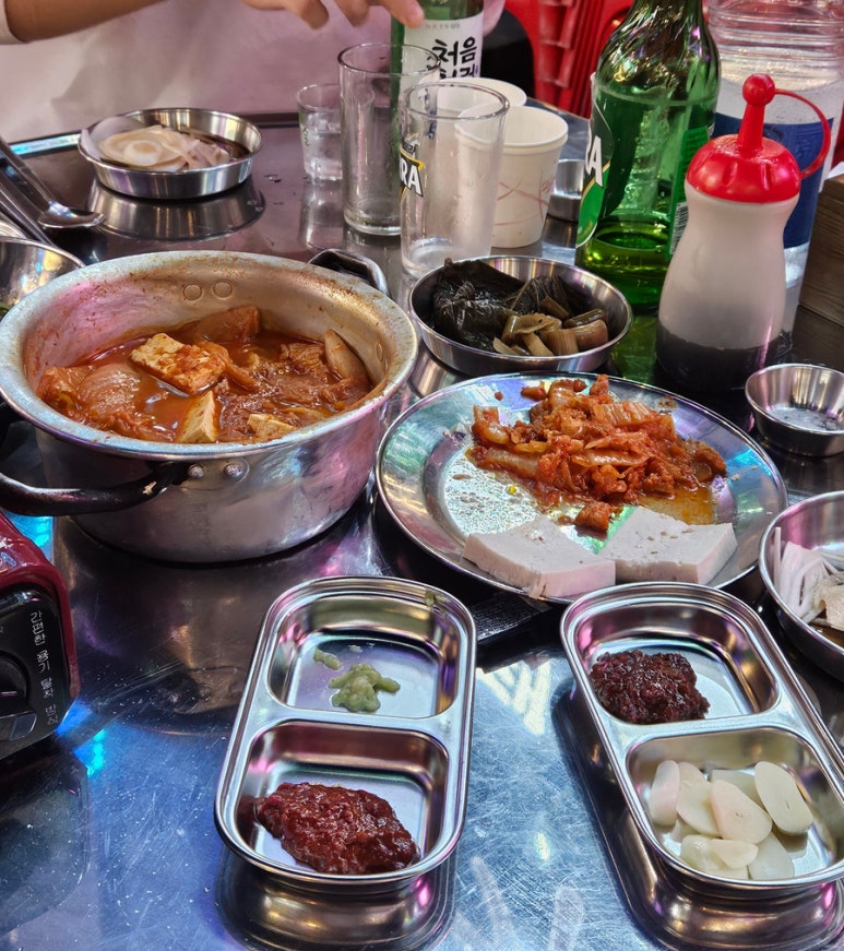 탄통제주돼지 이미지