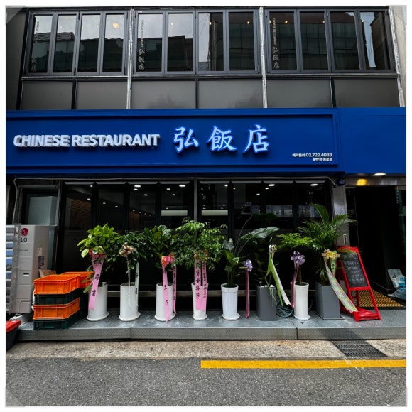 홍반점 이미지