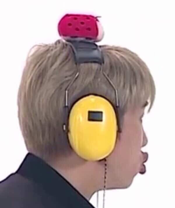 코야 이미지