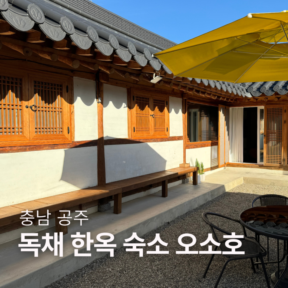 오소호 이미지