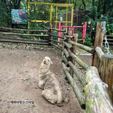 아하더스테이 이미지