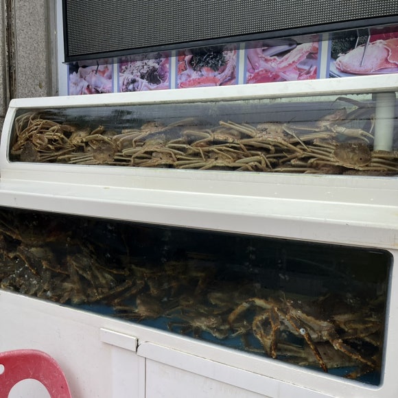 상대원수산 이미지
