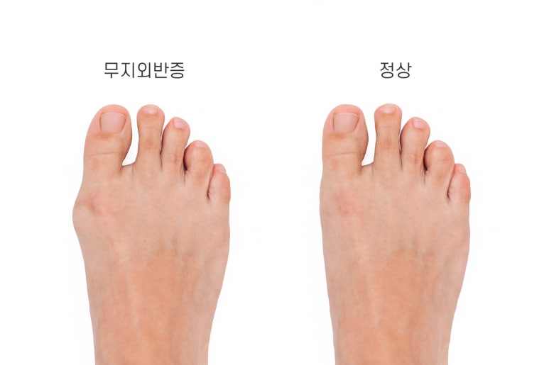 힘내라정형외과병원 이미지