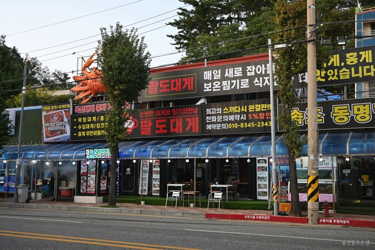 팔도FC 이미지