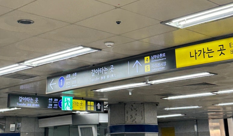 혜성퍼블릭 이미지