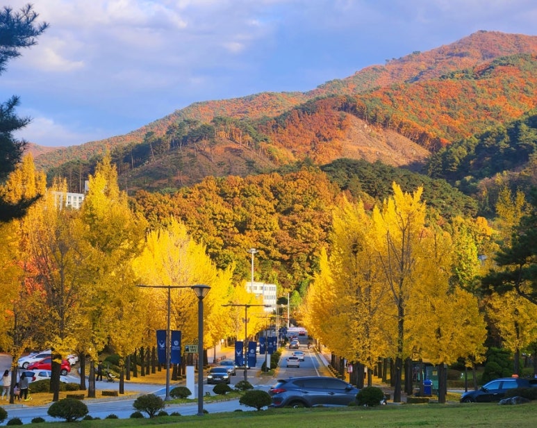 지리산약초장어푸른솔가든 이미지