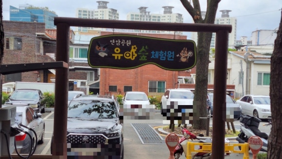 연암공원 유아숲체험원 이미지