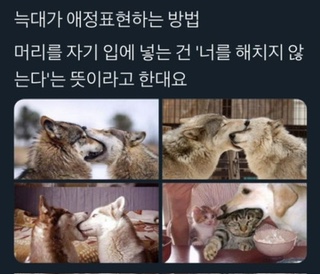 태호유통 이미지
