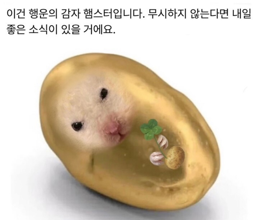 지에스25크라운점 이미지
