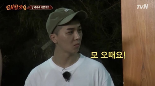 바이브스테이 이미지