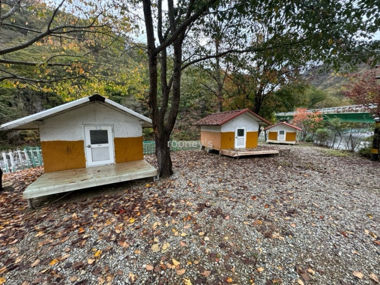 용대황지캠핑장 이미지