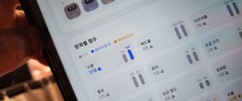 카라뷰티에스테틱 이미지