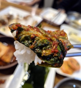 백가백반 이미지