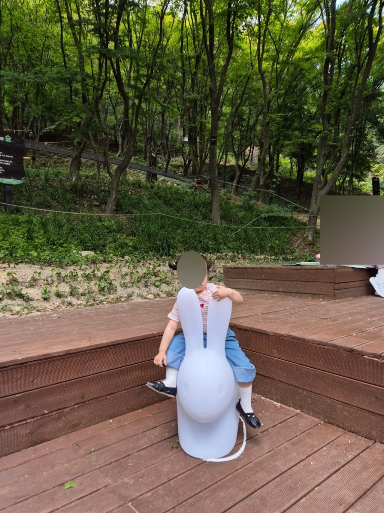 정읍사공원 유아숲체험원 이미지