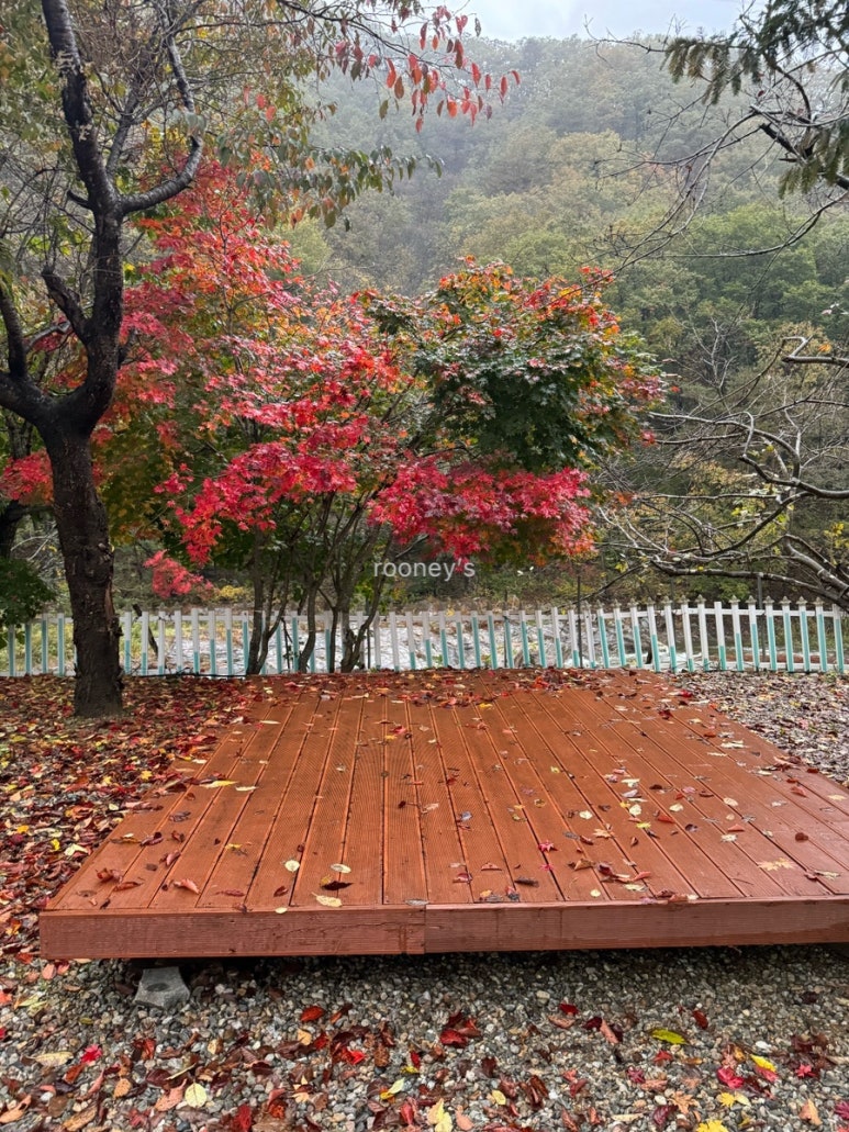 용대황지캠핑장 이미지