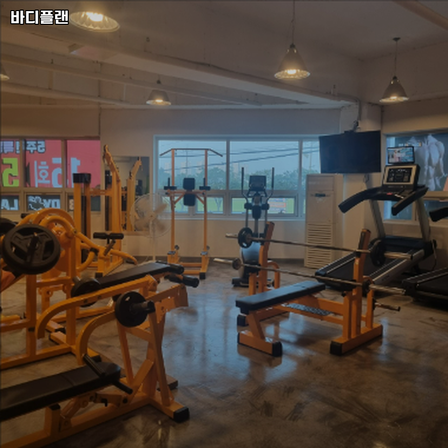 바디플랜 이미지